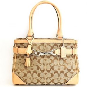 bag-10544-1