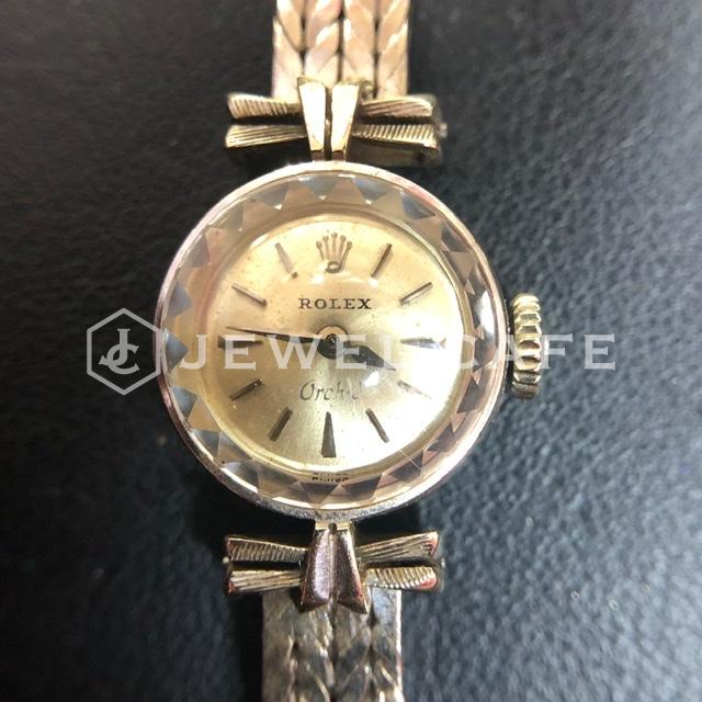Rolex Orchid