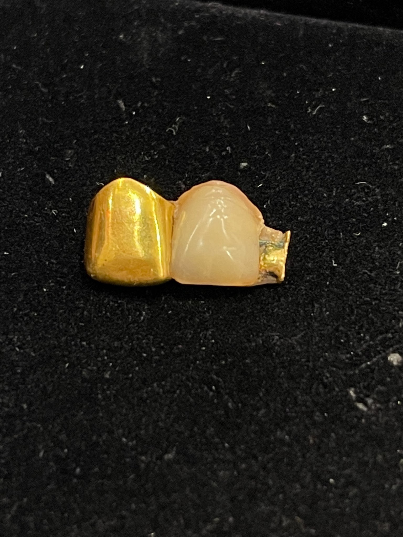 K9 Gold