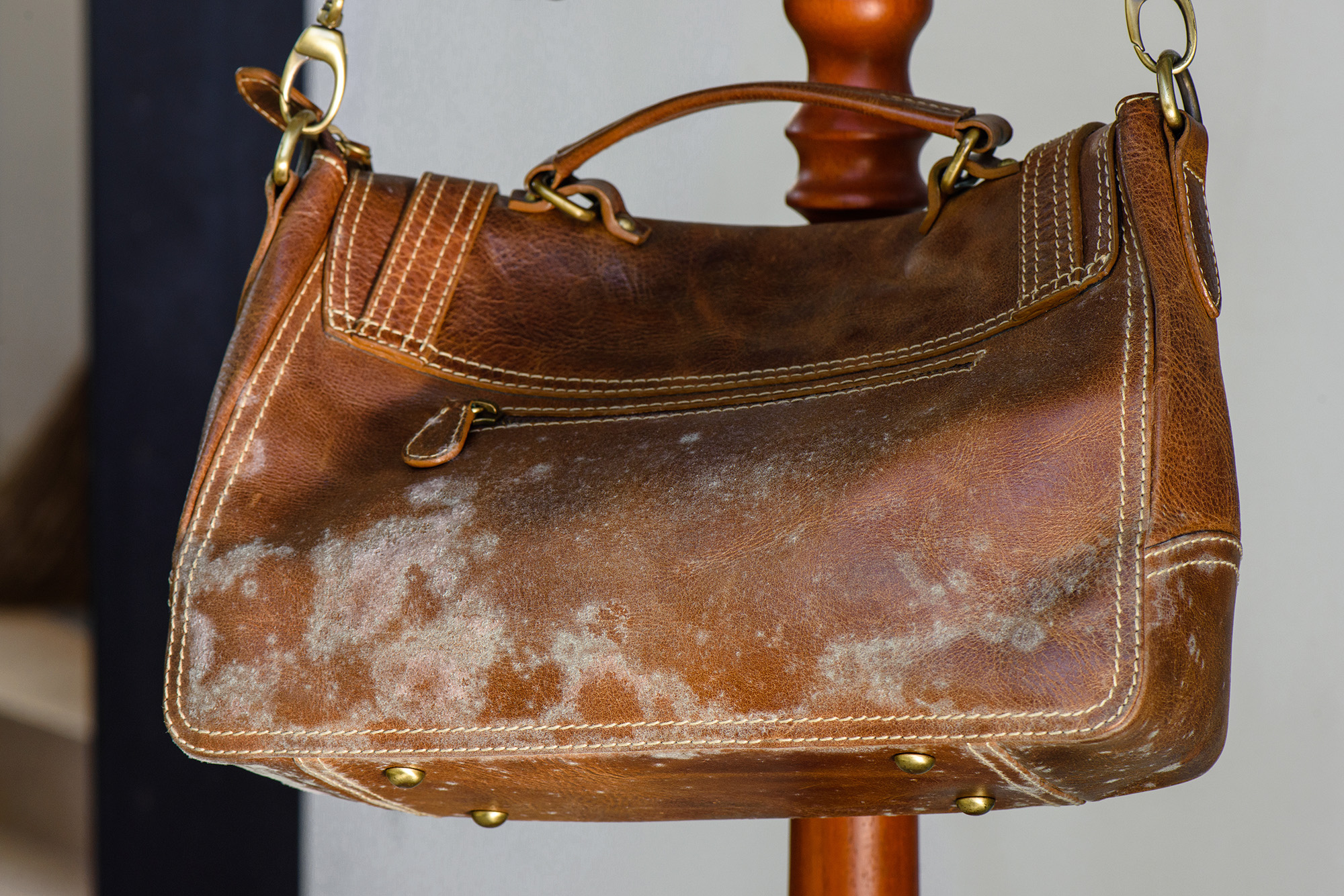 Louis Vuitton handbag mold