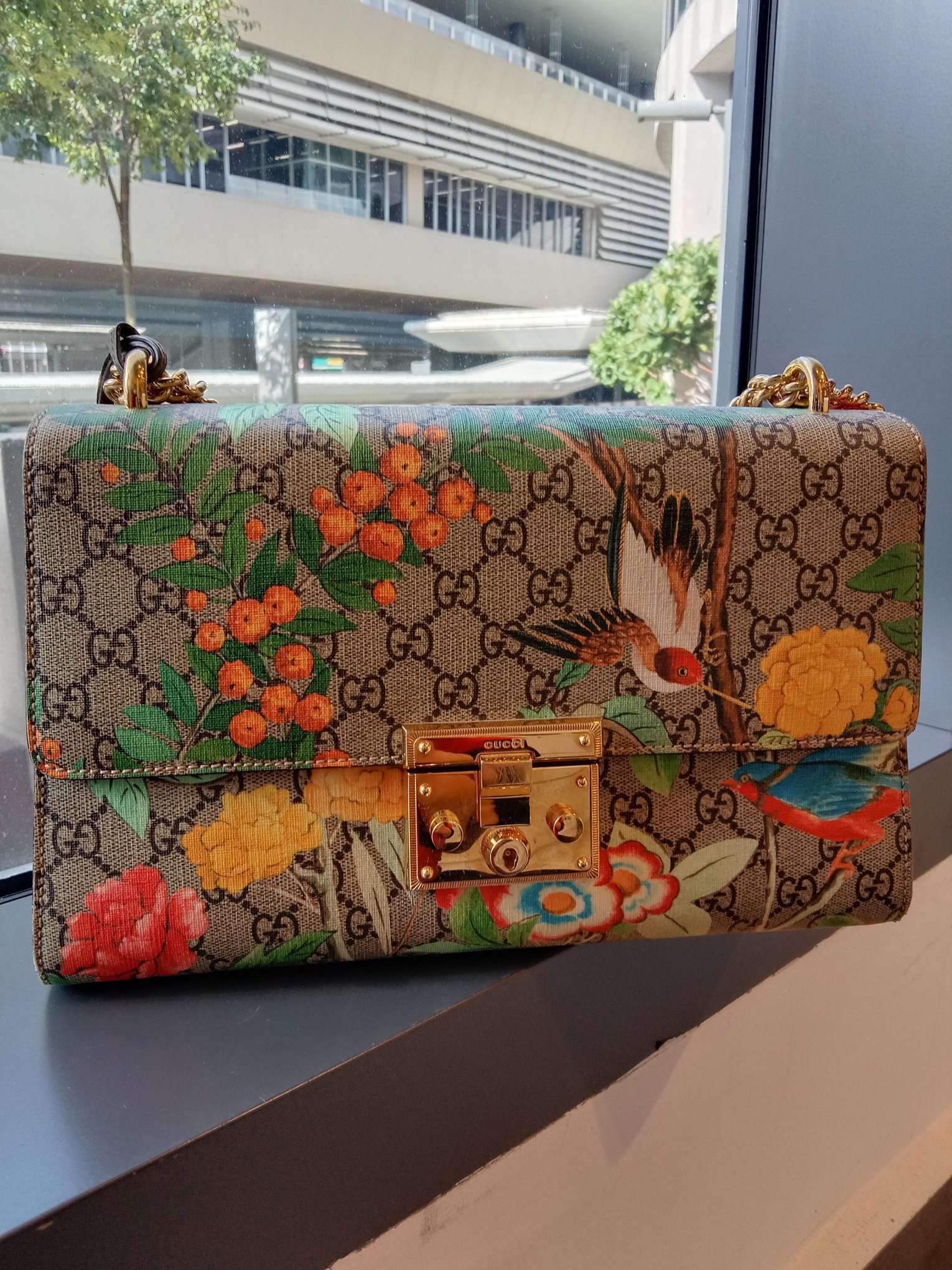 GUCCI