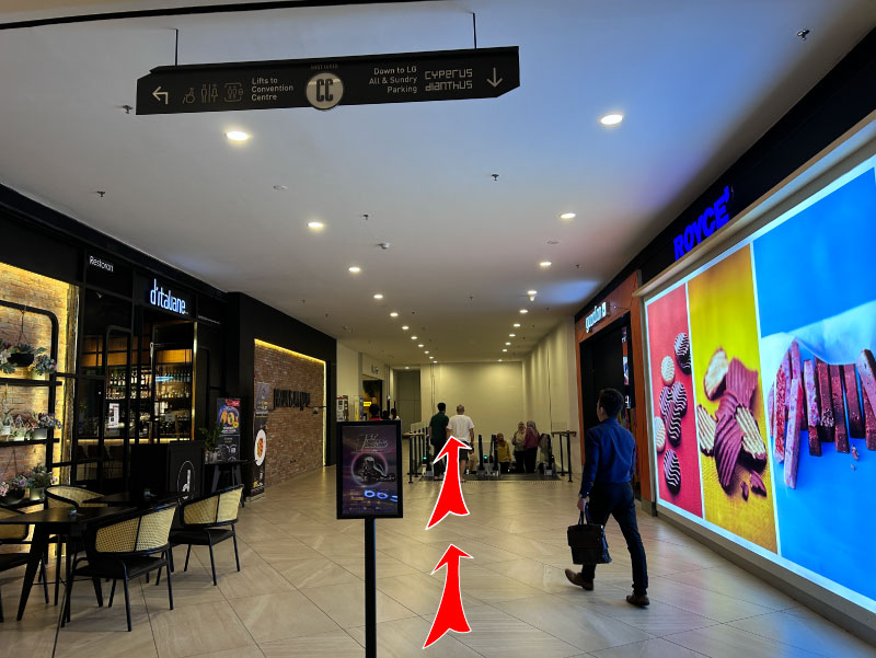 Use the escalator to go down to the Lower ground floor.